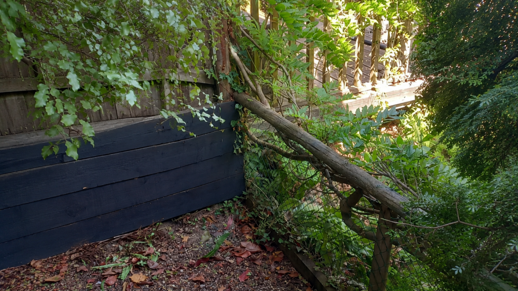 Leaning Branch Against Garden Fence